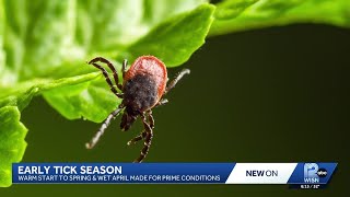 Early start to tick season in Wisconsin