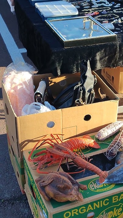 brocante 21 juillet belgique
