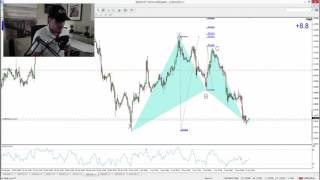 Learn Forex Trading: How to Identify and Trade a BAT Pattern.