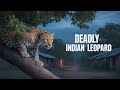 The Killer You’ll Never Hear Coming: India's Silent Predator
