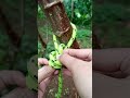 simple knot #knot #rope #outdoors #simpleknot #survival