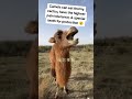 It S Free To Subscribe рџ Ґрџ Ґрџ Ґ Martinextraordinaire Businessideas рџЋҐ Dima Amazigh DM FOR REMOVAL It S Free To Subscribe рџ Ґрџ Ґрџ Ґ Martinextraordinaire Businessideas рџЋҐ Dima Amazigh DM FOR REMOVAL