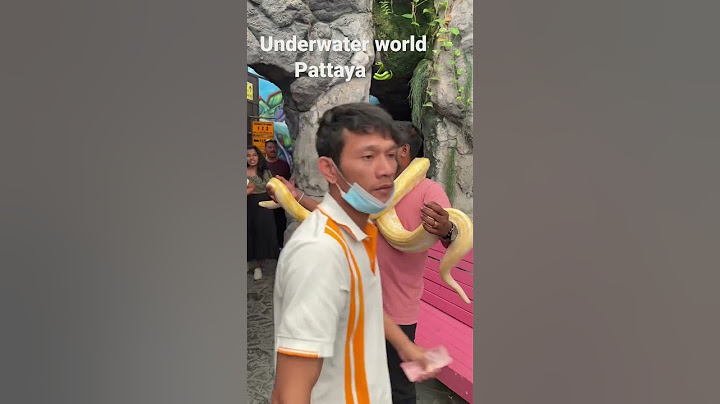 Underwater world Pattaya #pattaya #thailanddiaries #experiments