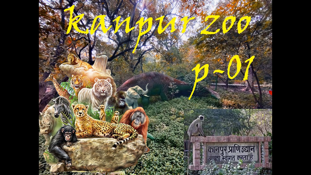 Kanpur Zoo trip family time MasterUnspoken animals and jungle