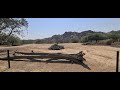 National Parks, Goanikontes Oasis Namibia part 4, Dorob.