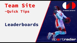 Leaderboards Quick Tips for the Synergy Team Site