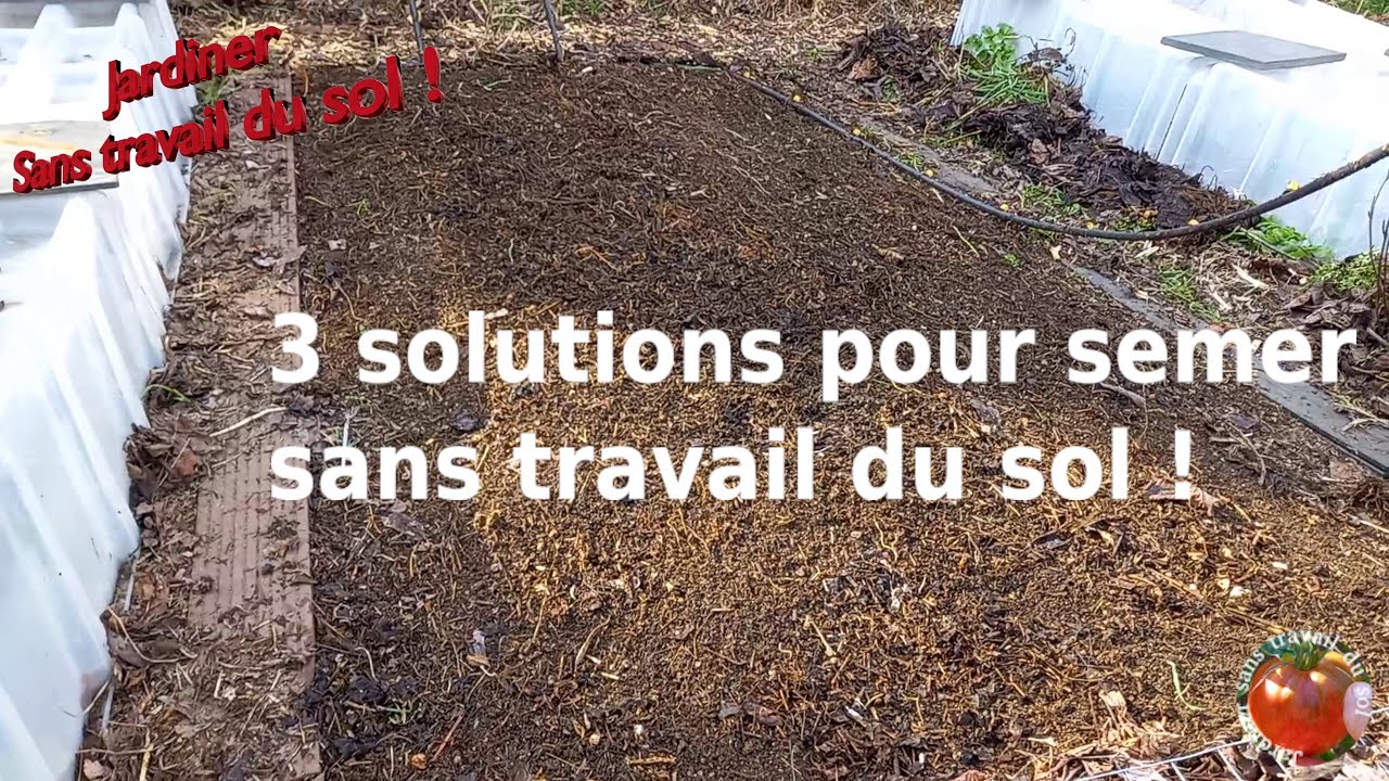 3 решения для посева без обработки почвы!