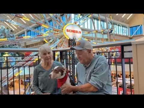 Dog Trainers In Tulsa | "I Would Never Pick Another Place!"