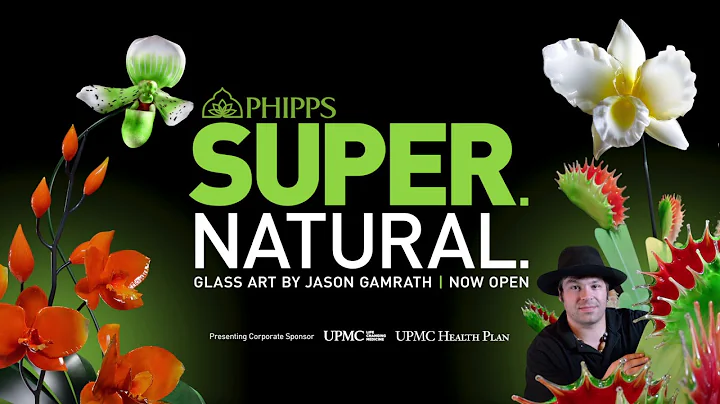 Phipps Presents SUPER. NATURAL. Glass Art by Jason...