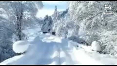 أواخر سورة الحشر.الشيخ فارس عباد.