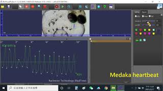 RvVisualPulse software for heartbeat measurement in Daphnia anf fish screenshot 3