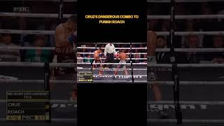 #africa #boxing #fighting #lamontroach #pitbullcruz @mafiaboxingpromotion1675 @Netflix #art