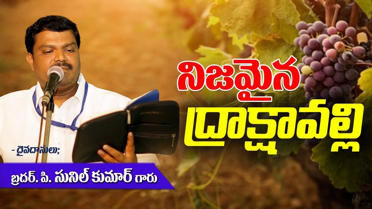 ద్రాక్షవల్లి drakshavalli Messege By P. Sunil Kumar garu