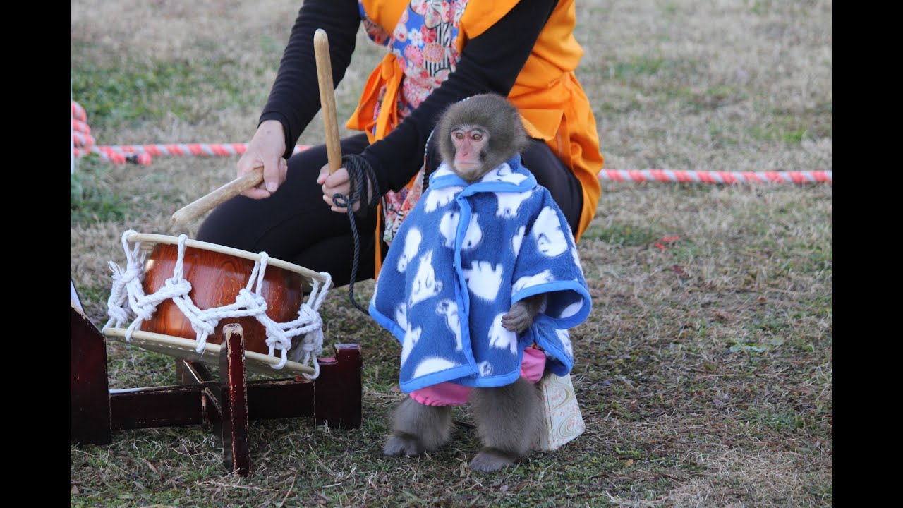 デビューして、1ヶ月。新人コンビ、クレヨン🖍️　猿まわし🐵💝　二助企画