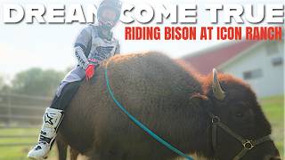 Riding a Bison at ICON RANCH