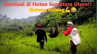 Survival Tips !! Pasang Jerat Babi untuk bertahan hidup di hutan Sumatera!!! #jombapetualang 