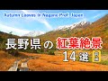 長野県の紅葉絶景ベスト14選（前編） / 白馬三山・戸隠高原・志賀高原・霧ヶ峰・美ヶ原 / Top 14 best autumn leaves in Nagano, Japan (Part 1)
