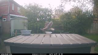 vlc record 2026 04 16 18h14m39s IMAG0369 avi