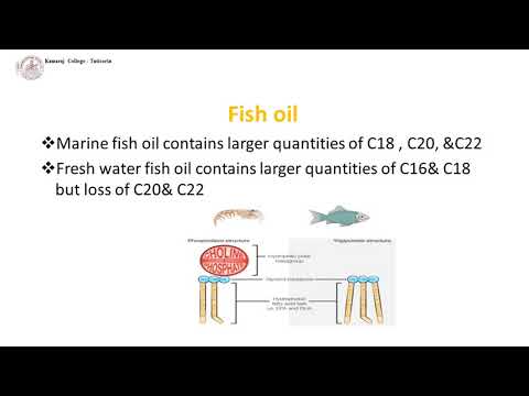 Video: Calorie Content Of Fish, Its Chemical Composition And Nutritional Value