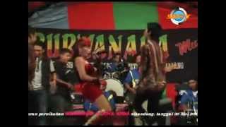 Download Lagu iwak peyek dangdut koplo hot