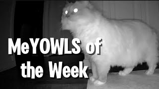 Yoshi's MeYOWLS of the Week (motw ep. 72)