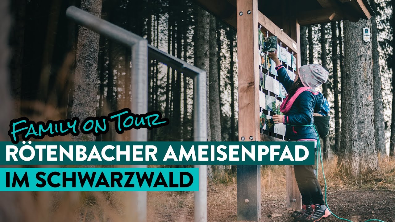 Erlebe mit uns den Rötenbacher Ameisenpfad | Rötenbachschlucht (31)