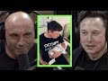 Elon Musk Explains Baby Name Choice | Joe Rogan