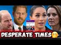 PALACE IN QUEST TO MEND RIFT WITH SUSSEXES BY HIRING EXPERT AFTER GLOBAL TRIUMPH