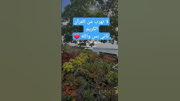 قران كريم لا تهرب من القرآن الكريم ثانيه والله #لايك #المصحف #لايك #duet #راحة_نفسية #لايك #ترند