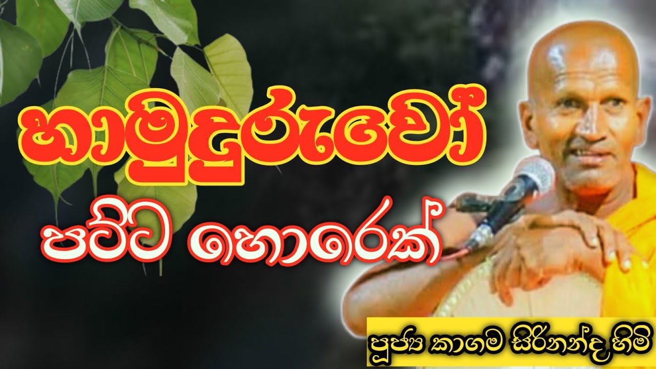 හාමුදුරුවෝ පට්ට හොරෙක්ළු පුතා/කාගම සිරිනන්ද හිමි @Dammanussathi 