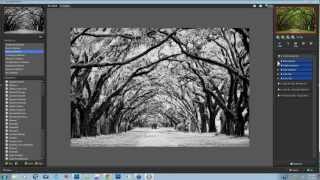 Quick Tips - Simulating Infrared Film in B&W Effects screenshot 1