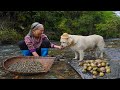 被忽視的貝類美食，有人丟它魚缸清潔，有人丟它鍋裡炒菜｜Granny catches wild shells and makes Chinese food｜广西 美食 玉林阿婆