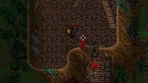 Tibia: Leveling a low character 8-50 FREE AREA part 3 - Dying is not fun!