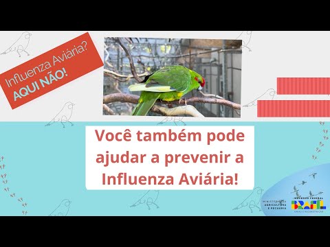 Influenza Aviária - Aves Migratórias e Boas Práticas Agropecuárias