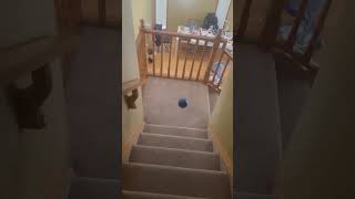 Ender pearl #teleport #enderpearl #minecraft