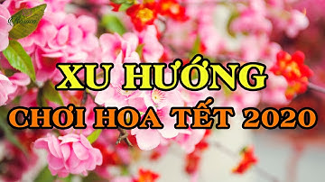 XU HƯỚNG CHƠI HOA TẾT 2020 - CÂY CẢNH ĐẸP CHƠI TẾT