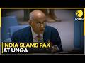 India Slams Pakistan's Election Plans in Gilgit-Baltistan | WION News