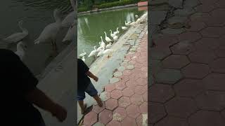 Raunit Masti In Khaki Baba Mandir