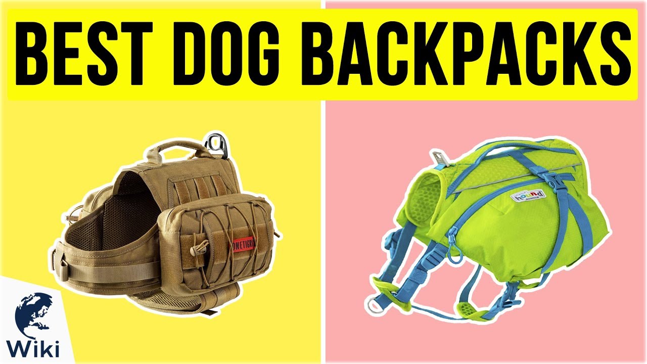 go fresh pet backpack