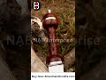 28" Gladiator Roman Sword D2 Steel Gladius Rose Wood Battle Ready Sword Buy from Bravohandicrats.com