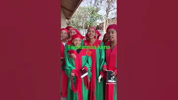 Uffata Oromoo Fi Faarfannaa Afaan Oromoo 