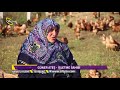 Kanatlı Alemi  - Tekirdağ - Yumurta Tavuğu Yetiştiriciliği