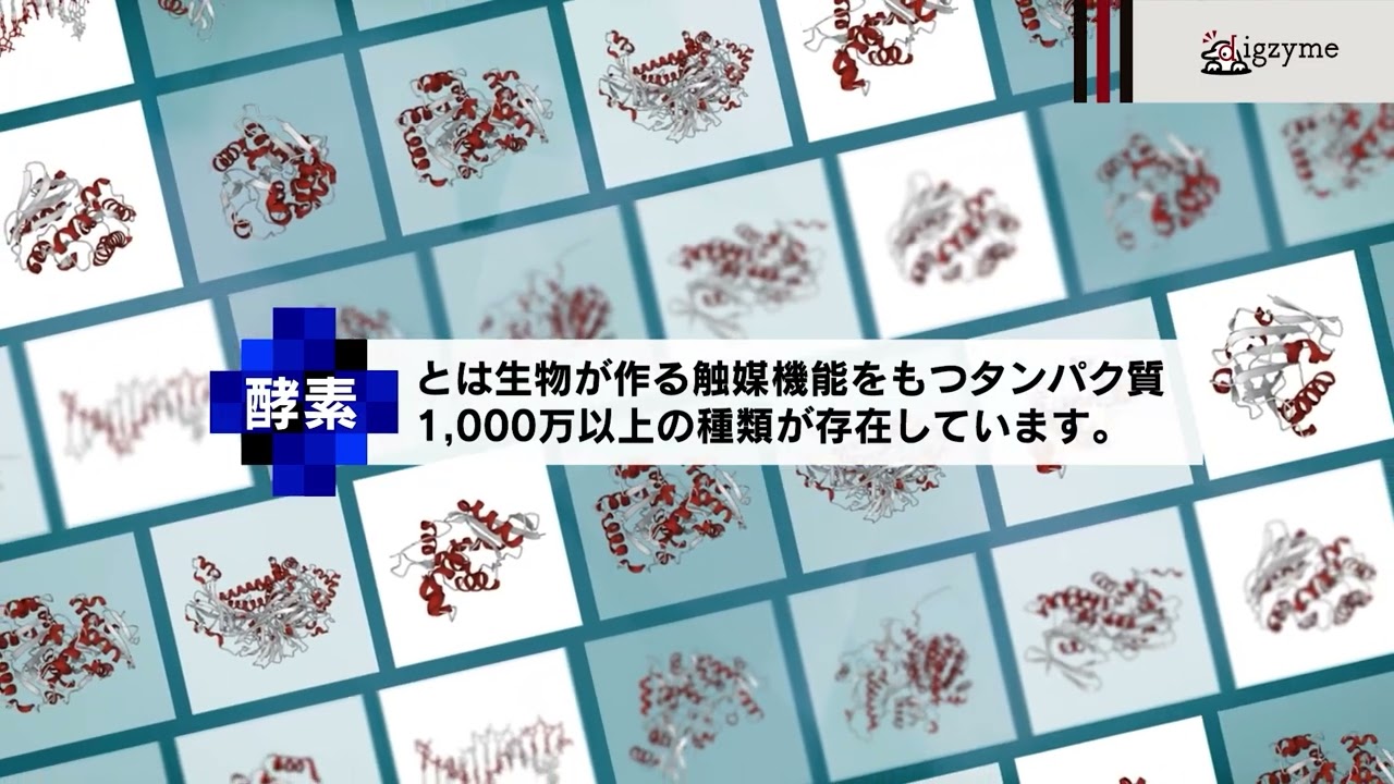 イノベーションに有用な酵素の開発から生産まで担う酵素のアクセラ