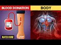 What Happens to Your Body After You Donate Blood