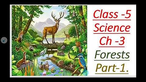 class-5 science,ch 3 forests , part-1