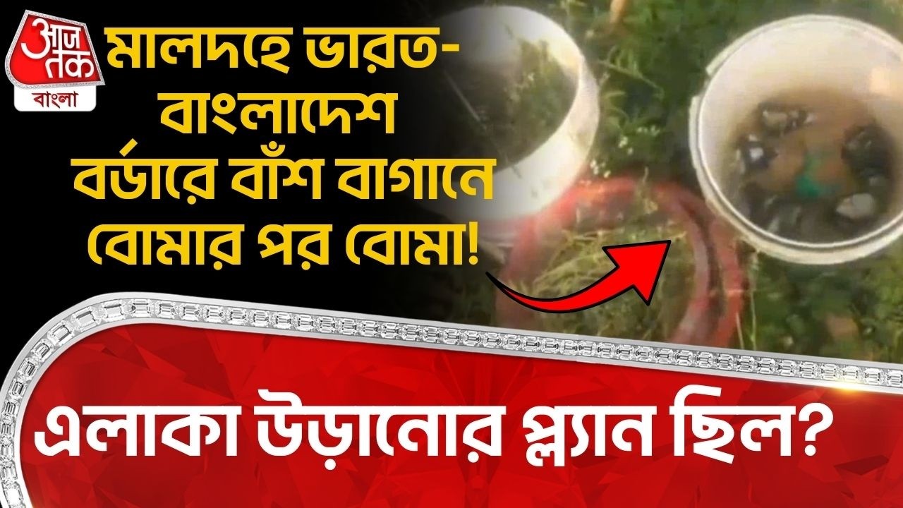 মালদহে India Bangladesh Border এ বাঁশ বাগানে বোমার পর Bomb! এলাকা উড়ানোর প্ল্যান ছিল? Malda | DN