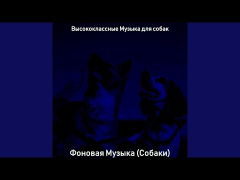 Высококлассные Музыка для собак - Звуки (Выгул собак)