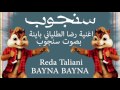 Reda Taliani Bayna - رضا الطلياني باينة سنجوب
