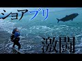【青物】岸から20mでブリが釣れる海！！ 小さなワームに喰いついた鰤を釣り上げるっ...！！【サーフ釣り】