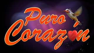 Versión 2 del video